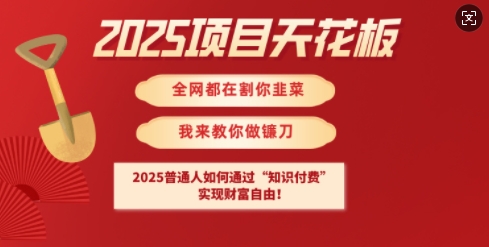 2025项目天花板普通人如何通过知识付费,实现财F自由【揭秘】-优品网赚资源库