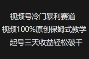 视频号冷门暴利赛道视频100%原创保姆式教学起号三天收益轻松破千-优品网赚资源库