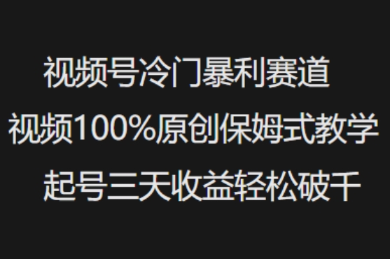 视频号冷门暴利赛道视频100%原创保姆式教学起号三天收益轻松破千-优品网赚资源库