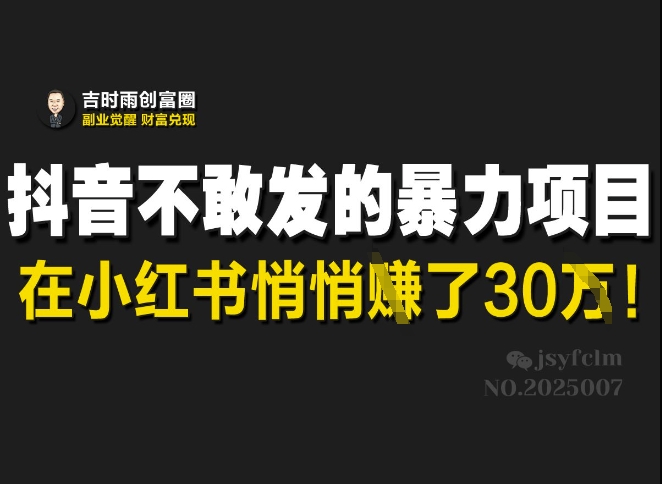 抖音不敢发的暴利项目，在小红书悄悄挣了30W-优品网赚资源库