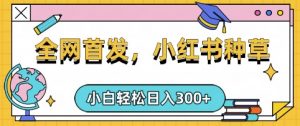 小红书种草,手机项目,日入3张,复制黏贴即可,可矩阵操作,动手不动脑【揭秘】-优品网赚资源库