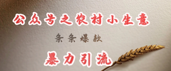 deepseek写农村小项目，条条爆款，暴力引流-优品网赚资源库