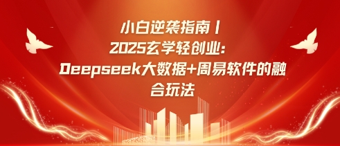小白逆袭指南,2025玄学轻创业:Deepseek大数据+周易算法的融合玩法-优品网赚资源库