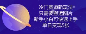 冷门赛道新玩法,只需要搬运图片,新手小白可快速上手,单日变现多张-优品网赚资源库