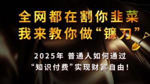 全网都在割你韭菜,我来教你做镰刀,2025普通人如何通过知识付费,实现财F自由【揭秘】-优品网赚资源库