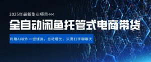 【闲鱼全自动电商带货】三年磨一剑，一朝露锋芒，长期稳定项目，单日稳定变现5张【揭秘】-优品网赚资源库