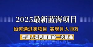 2025蓝海项目，普通人如何通过卖项目，实现月入过W，全过程【揭秘】-优品网赚资源库