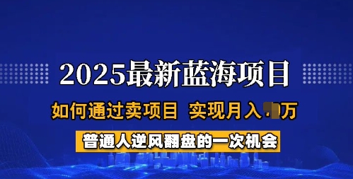 2025蓝海项目，普通人如何通过卖项目，实现月入过W，全过程【揭秘】-优品网赚资源库