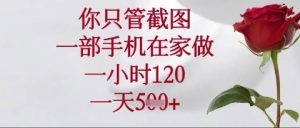 你只管截图，一部手机在家操作，一小时120.一天5张【揭秘】-优品网赚资源库