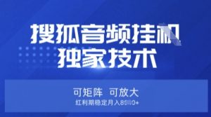 【搜狐音频挂G】独家技术,可矩阵可放大,红利期稳定月入8k【揭秘】-优品网赚资源库