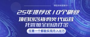 25年推荐这10个副业项目包含褂鸡类、代运营托管类、全自动打金类【揭秘】-优品网赚资源库