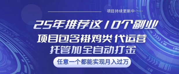 25年推荐这10个副业项目包含褂鸡类、代运营托管类、全自动打金类【揭秘】-优品网赚资源库