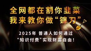 全网都在割你韭菜,我来教你做镰刀,2025普通人如何通过知识付费,实现财F自由【揭秘】-优品网赚资源库