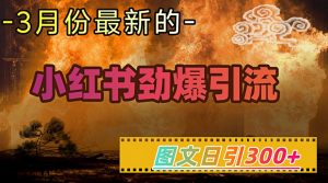 小红书超劲爆引流手段，图文日引300+轻松变现1W-优品网赚资源库