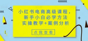 小红书电商高级课程，新手小白必学方法，实操教学+案例分析-优品网赚资源库