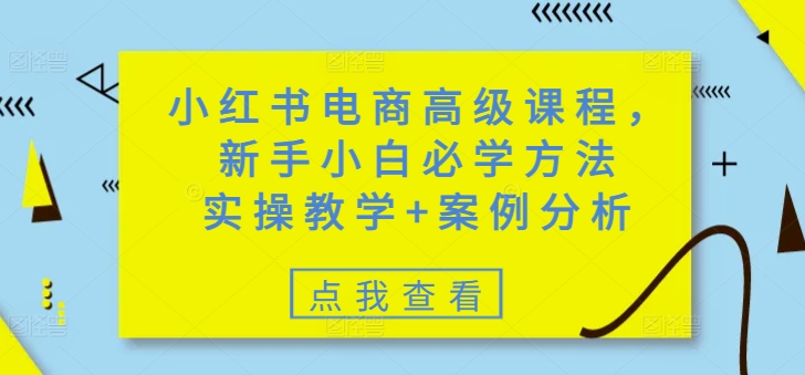 小红书电商高级课程，新手小白必学方法，实操教学+案例分析-优品网赚资源库