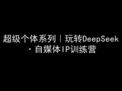 超级个体系列，玩转DeepSeek·自媒体IP训练营，deepseek教程-优品网赚资源库