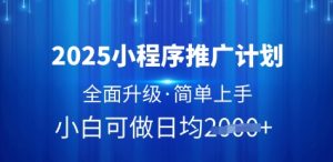 2025小程序推广计划，全面升级，简单上手，日均多张【揭秘】-优品网赚资源库