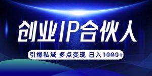 云帆·创业ip合伙人打造3.0,从0到1教你做网创,实现月入过W-优品网赚资源库
