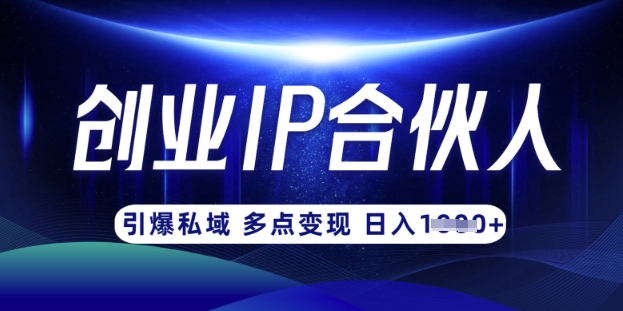 云帆·创业ip合伙人打造3.0，从0到1教你做网创，实现月入过W-优品网赚资源库