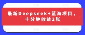 最新Deepseek+蓝海项目，十分钟收益2张-优品网赚资源库