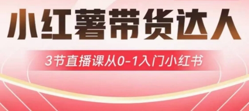 小红薯达人带货启航计划，3节直播课从0-1入门小红书-优品网赚资源库