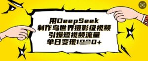 用DeepSeek制作鸟世界摄影级视频，引爆短视频流量，单日变现1k-优品网赚资源库