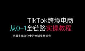 TikTok跨境电商从0-1全链路全方位实操教程，把握多元变化中的全球生意机会-优品网赚资源库