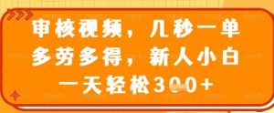 审核视频，几秒一单，多劳多得，新人小白一天轻松3张【揭秘】-优品网赚资源库