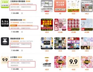 0成本虚拟项目实战手把手教你落地，单店月入5k-优品网赚资源库