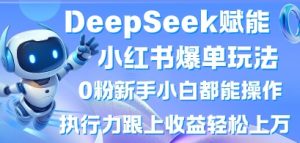 DeepSeek赋能小红书爆单玩法0粉新手小白都能操作，执行力跟上收益轻松上W，懒人勿做-优品网赚资源库