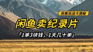 闲鱼卖纪录片1单3块钱，1天几十单，项目稳定有潜力-优品网赚资源库