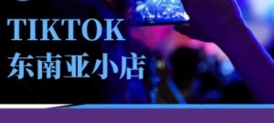 Tiktok东南亚跨境小店运营班，一门专业的TK小店运营培训课-优品网赚资源库