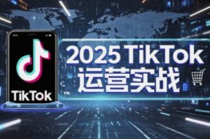 2025TikTok电商运营，掌握TikTok店铺运营核心技巧，实现低成本高转化-优品网赚资源库