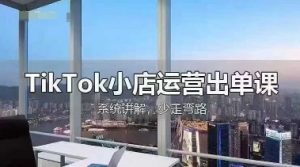 TikTok小店运营出单课,从开店选品、运营出单、发货回款,进行全流程讲解-优品网赚资源库