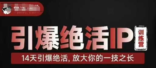 引爆绝活IP训练营，14天引爆绝活，放大你的一技之长-优品网赚资源库