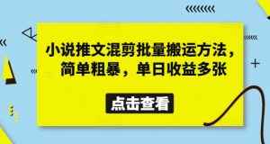 小说推文混剪批量搬运方法，简单粗暴，单日收益多张-优品网赚资源库