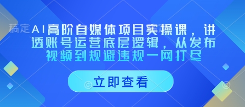 AI高阶自媒体项目实操课，讲透账号运营底层逻辑，从发布视频到规避违规一网打尽-优品网赚资源库