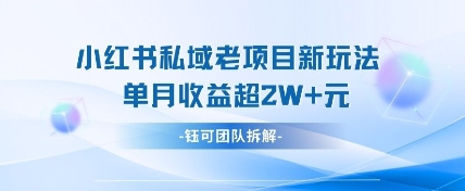 小红书私域项目新玩法，单月变现过W+-优品网赚资源库