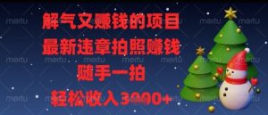 解气又挣钱的项目，最新违章拍照挣钱，随手一拍，轻松收入多张【揭秘】-优品网赚资源库