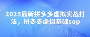 2025最新拼多多虚拟实战打法，拼多多虚拟基础sop-优品网赚资源库