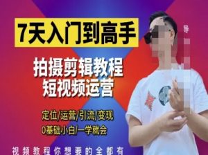 7天入门到高手,短视频剪辑运营高手课,定位 运营 引|流 变现,0基础小白一学就会-优品网赚资源库