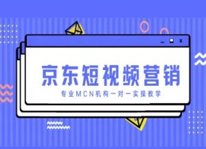 京东短视频营销项目，专业MCN机构一对一实操教学-优品网赚资源库