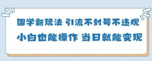 国学新玩法，引流不封号不违规小白也能操作，当日就能变现-优品网赚资源库