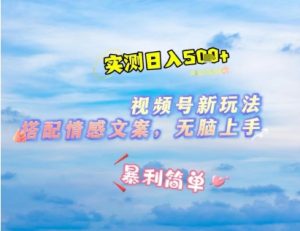 微信视频号最新玩法，表情包搭配情感文案，2分钟一条原创作品，简单好上手，轻松日入几张-优品网赚资源库