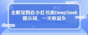 全职宝妈在小红书卖DeepSeek提示词，一天收益1k-优品网赚资源库