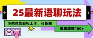 25年最新语聊玩法,纯手工,单机收益100+,小白也能轻松上手,可矩阵操作-优品网赚资源库