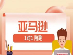 亚马逊1对1陪跑课(FBA/FBM精铺)跨境亚马逊教程-优品网赚资源库