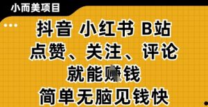 小而美的项目,抖音小红书B站视频点赞、关注、评论就能挣钱,简单无脑立见收益,妥妥的零撸项目【揭秘】-优品网赚资源库