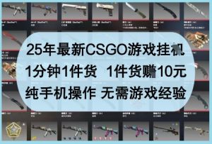 25年最新CSGO游戏挂G，1分钟1件货，1件货挣10元，纯手机操作，无需游戏经验【揭秘】-优品网赚资源库